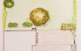 planta-770×1024